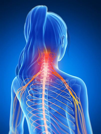 Fractures of the Thoracic and Lumbar Spine - OrthoInfo - AAOS